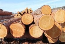 Кыргызстанда алты айга тышка жыгач сатууга тыюу салынды