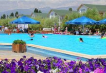 “Каприз” пансионатындагы 28 пайыз акциясын мамлекет сатабы?