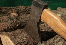 Бишкектин борборунда бак-дарактар кыйылып жатат