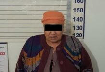 Сокулукта бир нече алдамчылык фактысына шектелген жаран кармалды