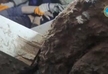 Кыргызстанские спасатели нашли еще одного выжившего под завалами в Турции