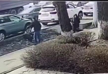 Бишкекте бейтааныш адам кызга кол салды, – видео