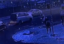 В Бишкеке патрульные нашли водителя, совершившего наезд на пешехода