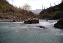 Кадамжайдагы Исфайра дарыясынан 39 жаштагы аялдын сөөгү табылды