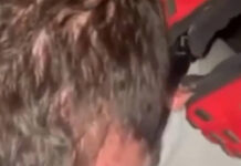 Түркияда уурунун кулагын кесип салышты