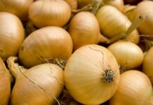 Пиязды чет жакка сатууга киргизилген чектөө алынат