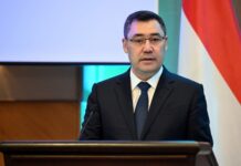 Садыр Жапаров пригласил венгерские компании строить ГЭС в Кыргызстане