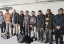 Казак-кыргыз чек арасынан тогуз пакистандык жаран кармалды