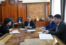 Нурланбек Шакиев Мамлекеттик ипотекалык компаниянын төрайымын кабыл алды