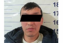 Жылкы уурдаган жаран кармалды