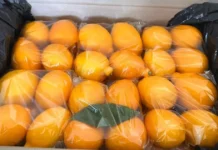 Баткенде 3 тоннадай лимон ташып бараткан жаран кармалды