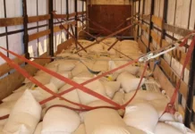 Бажы кызматы Өзбекстандан 2,6 млн сомдук күрүч ташып келаткан жаранды кармады