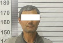 Кадамжайда чек арадан мыйзамсыз өтүп жүргөн жаран кармалды