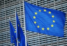 Евросоюз рассматривает возможность введения санкций против стран Центральной Азии