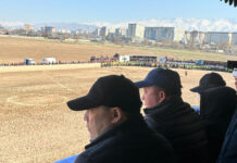 Садыр Жапаров көк бөрү оюнуна күбө болду