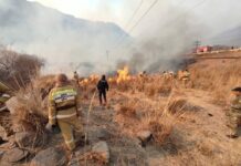 Площадь пожара в Боомском ущелье составила около 50 гектар