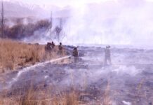 В Бооме снова вспыхнул пожар — видео