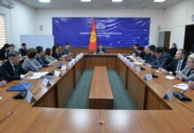 Кабмин хочет ввести биометрическую идентификацию (Face ID) во всех учреждениях