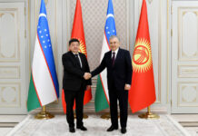 Жапаров Өзбекстанда Шавкат Мирзиёев менен жолукту