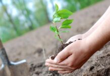 Администрация президента КР организует экологическую акцию «Свобода слова»