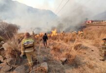 Крупный пожар в Бооме: сгорело 2 сарая, сухотравье и деревья на площади около 50 га