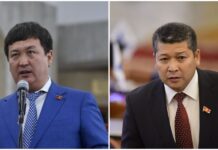 Коргонбай уулу: Зиядин Жамалдинов Абшыр-Атага караштуу токой чарба жерин бир тууган агасына каттатып берген