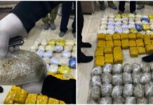 Через Кыргызстан перевозили крупные партии героина. Изъяты наркотики на $1,2 млн