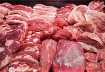 Кыргызстан Катарга эт жана бал азыктарын экспорттойт