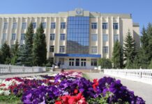 Нарындын мэри жана салык кызматынын башчысы жоопкерчиликке тартылды