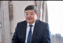 Жапаров: “Япон компанияларынын Кыргызстанга болгон кызыгуусу өсүүдө”