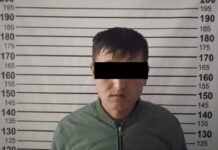 Баткенде мурда соттолгон жаран уурулукка шектелип кармалды