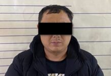 Ок атуучу куралды мыйзамсыз сактап жүргөн жаран кармалды, – видео