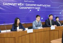 Санариптик өнүктүрүү министринин эки жаңы орун басары дайындалды