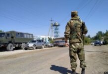 Чек араны мыйзамсыз кесип өткөн чет өлкөлүк жаран кармалды