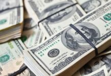 Ошто мыйзамсыз доллар чыгарып кетүүгө аракет кылган россиялык кармалды