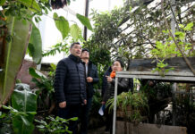 Ботаникалык бак оңдолот