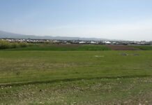 Токмокто жер тилкелери мамлекетке кайтарылды