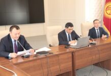 Назарбек Малаев назначен замминистра экономики и коммерции. Резюме