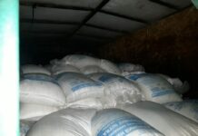 Чек арадан 7 тонна селитраны контрабандалык жол менен алып өтүүгө аракет кылгандар кармалды