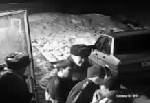 ВИДЕО: Нарындагы кайдыгер милиционерлерге иш козголду