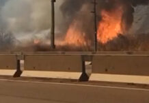 В Боомском ущелье сильный пожар — видео