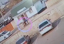 “12 омурткасы сынган”: Бишкекте майыптыгы бар адамды каналга кулатып жиберген шектүү кармалды