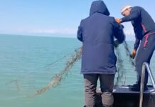 Из Иссык-Куля достали 6,4 тысячи метров рыболовных сетей и 2,5 тыс. кг мусора