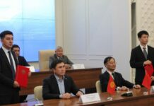 Кытайлык компания Орто-Токой чакан ГЭСин курат