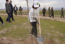 Баткендеги Мурас айылына 25 миңден ашуун бадам көчөттөрү отургузулду