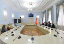 Кыргызстан БАЭнин экономикасынын тажрыйбасын үйрөнөт