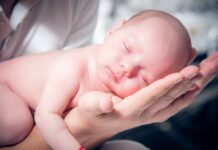 Баланын туулгандыгы тууралуу күбөлүктү «Түндүк» мобилдик тиркемеси аркылуу алууга болот