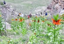 Заповедник «Айгуль-Тоо» закроют для туристов на 3 года