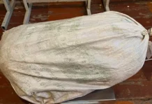 Марихуана сатып жаткан жаран кармалды