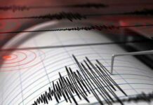 Жалал-Абадда жер силкинди